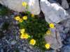 dsc07703_small.jpg