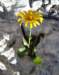 dsc07704_small.jpg