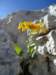 dsc07705_small.jpg
