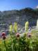 dsc07706_small.jpg