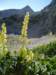 dsc07708_small.jpg