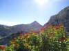 dsc07710_small.jpg