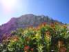 dsc07711_small.jpg