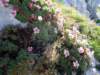 dsc07713_small.jpg
