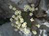 dsc07719_small.jpg