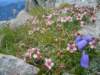 dsc07723_small.jpg
