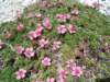 dsc07724_small.jpg