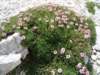 dsc07725_small.jpg