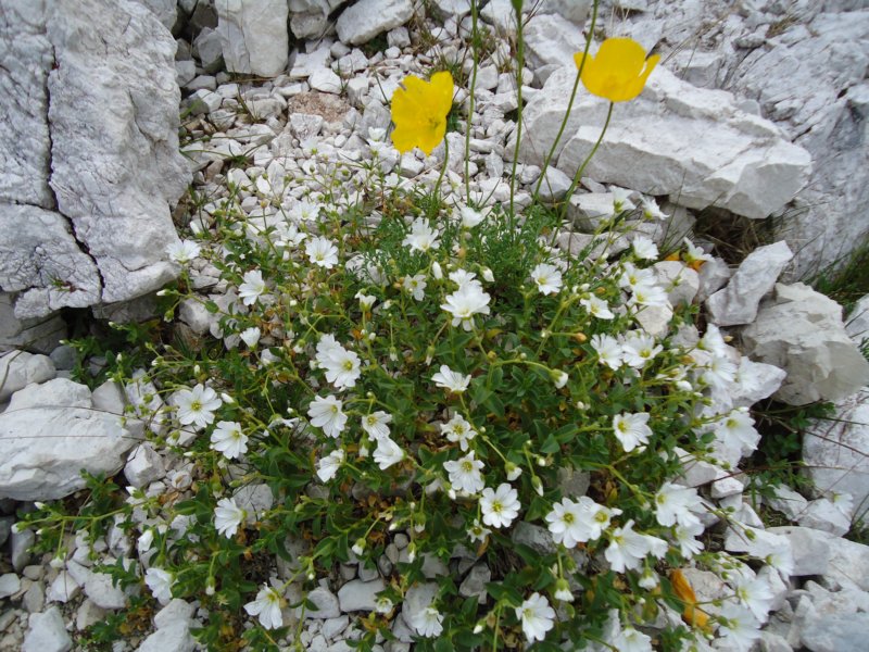 dsc07728.jpg
