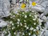 dsc07728_small.jpg