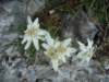 dsc07732_small.jpg