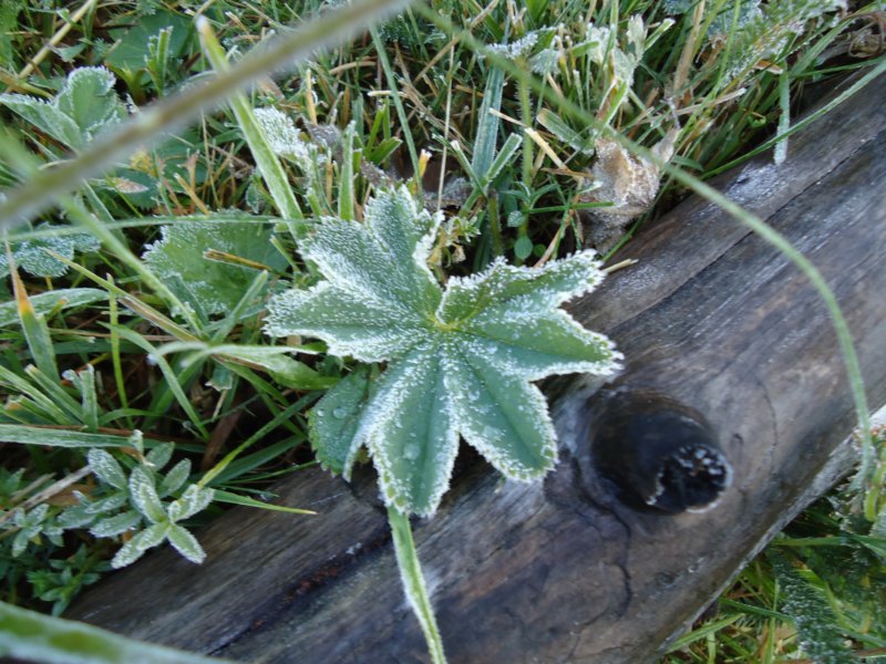dsc07734.jpg