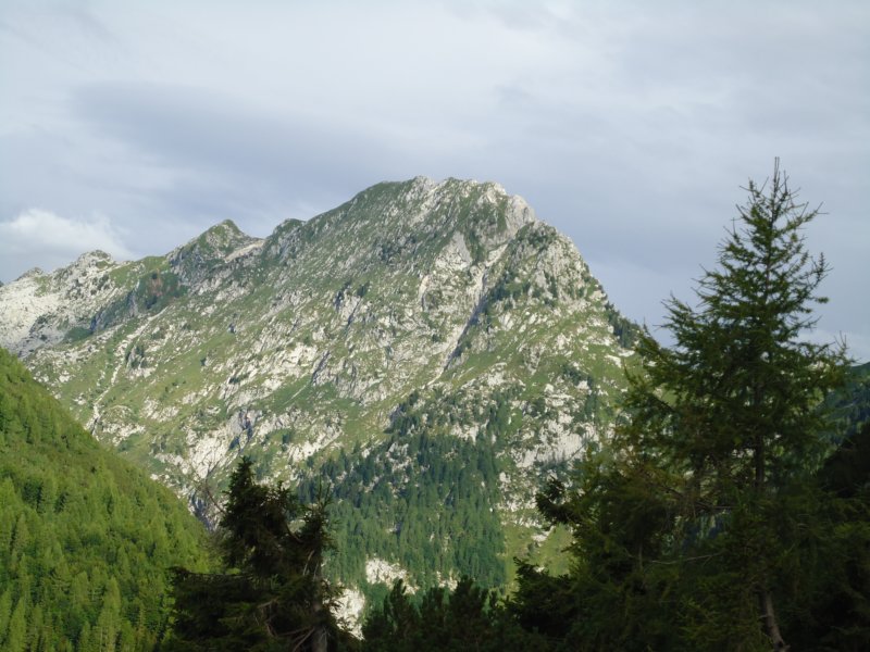 dsc07735.jpg
