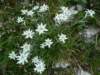 dsc07736_small.jpg