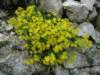 dsc07738_small.jpg