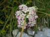 dsc07739_small.jpg