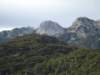 dsc07743_small.jpg