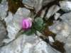 dsc07744_small.jpg