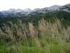 dsc07745_small.jpg