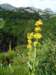 dsc07746_small.jpg