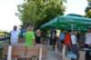 dsc_4386_small.jpg