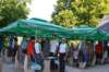 dsc_4387_small.jpg