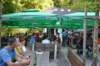 dsc_4393_small.jpg