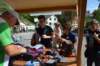 dsc_4720_small.jpg