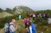 dsc05155_small.jpg