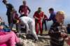 dsc05184_small.jpg