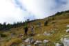 dsc05281_small.jpg