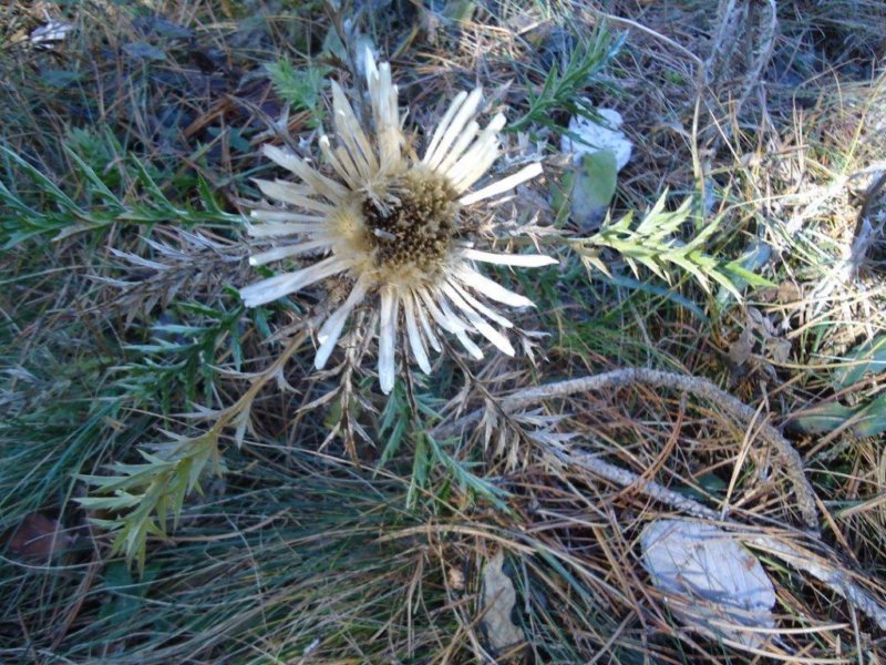 photo7.jpg