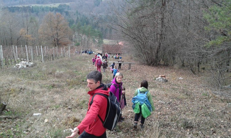 photo12.jpg