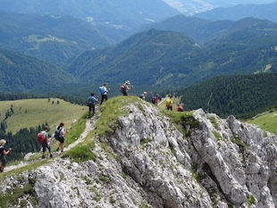 Košuta